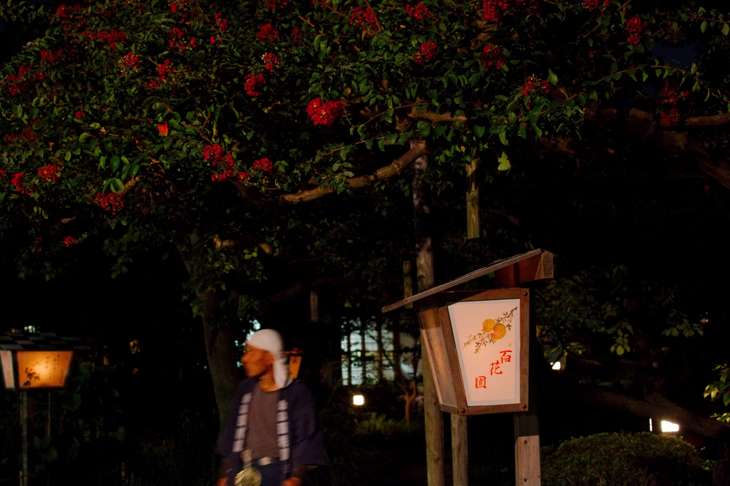 百花園の守り人