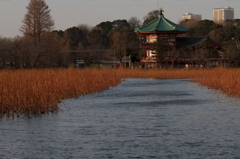 不忍池弁天堂