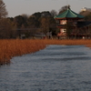 不忍池弁天堂
