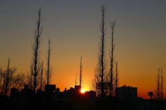 なごり深き、青山二丁目の夕陽