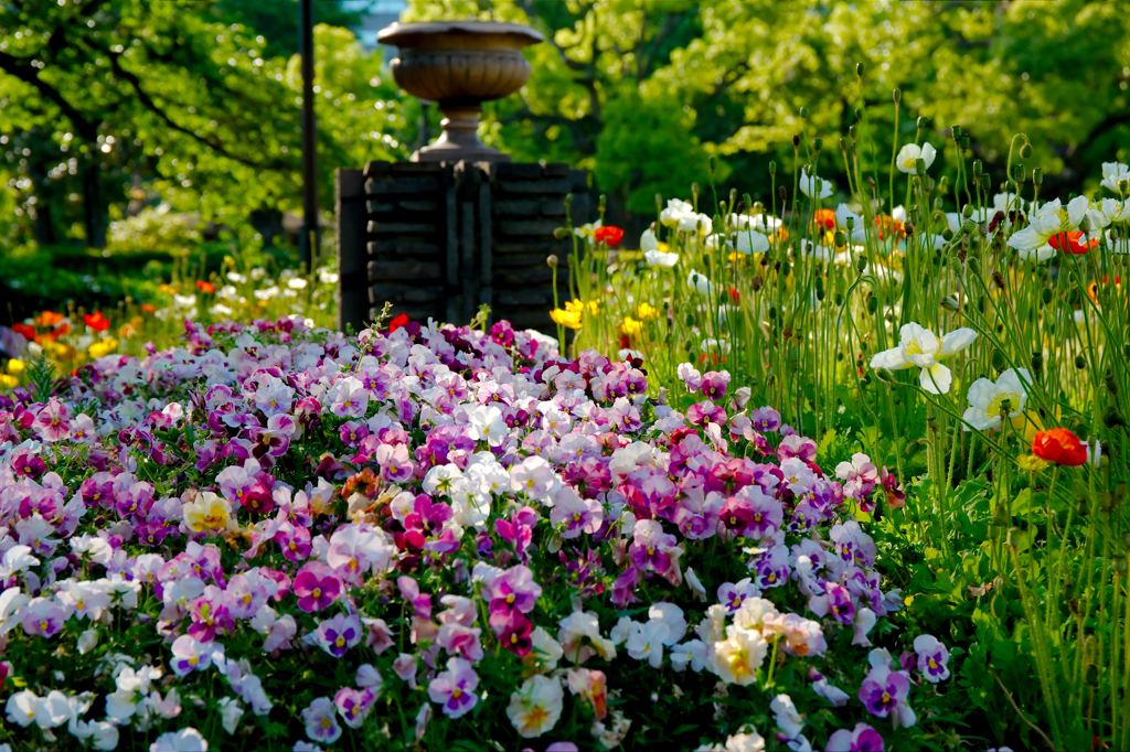 都会の花園