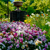 都会の花園