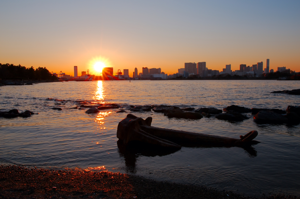 夕陽に寂び