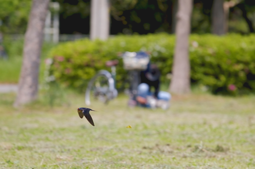 わっー!!　びっくりした・・・。食べられちゃうかと思ったよ。