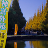 神宮外苑いちょう祭り開催中