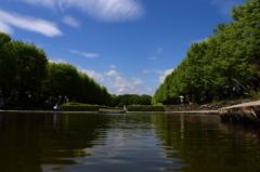 ようこそ、新緑の公園へ！