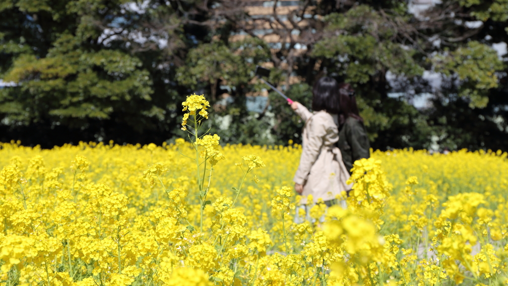 私もご一緒に・・・。