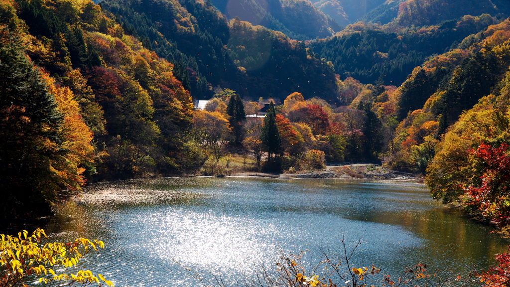 落ち葉舞う、深奥のふるさと村