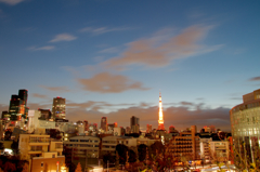 黎明の東京タワー