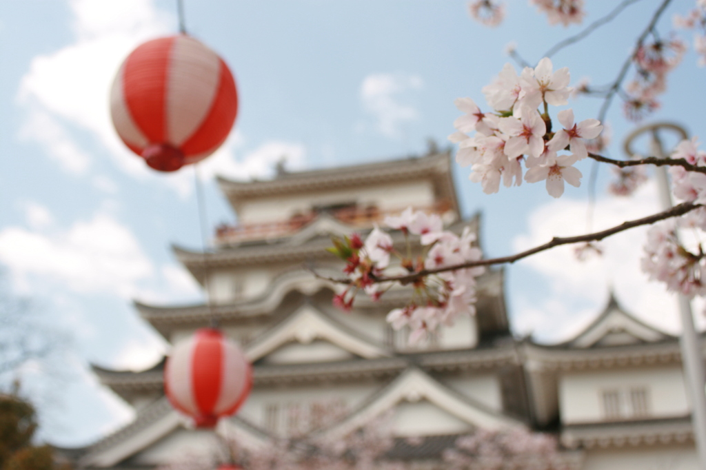 桜と福山城
