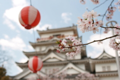 桜と福山城