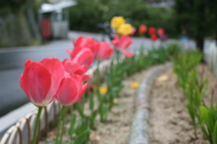 田舎道