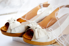Wedding shoes and veil
