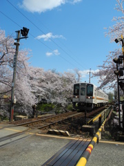 さくら列車