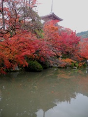 水鏡に映して
