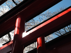 鳥居と桜