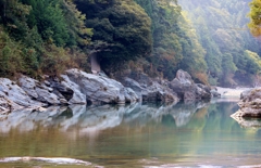 峡谷の”境” 峡谷の”境”