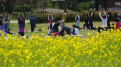 ”ヨガと菜の花のコラボ”