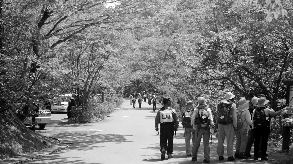 森林公園での出逢い♪まだまだ若いですよね(^O^)