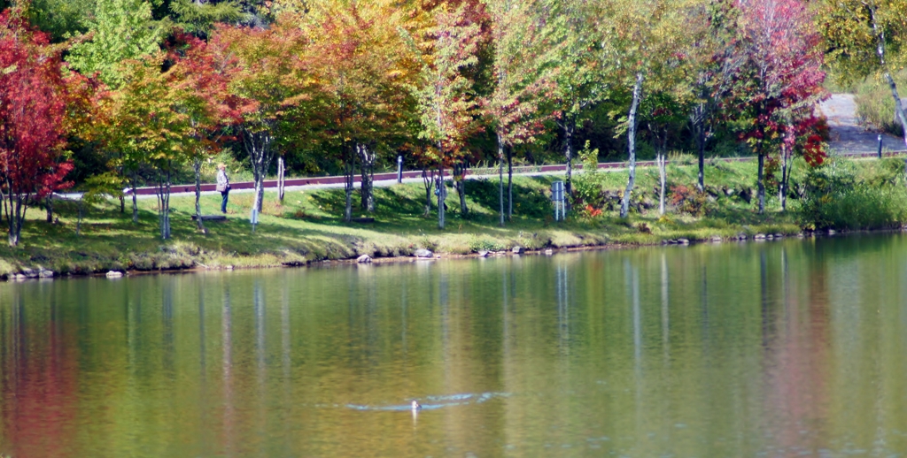 女神湖の紅葉