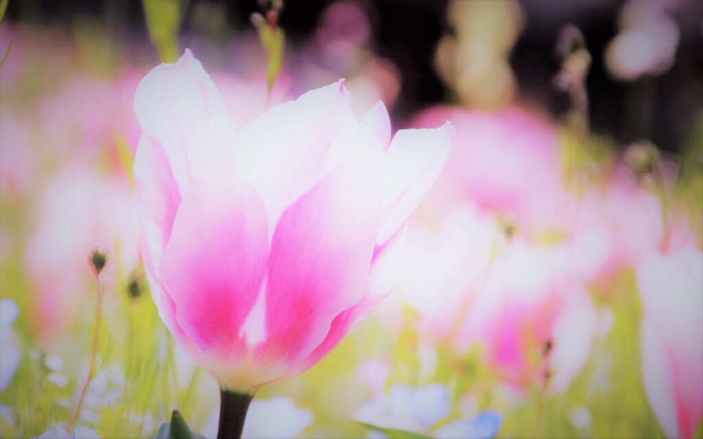 Brightly illuminate