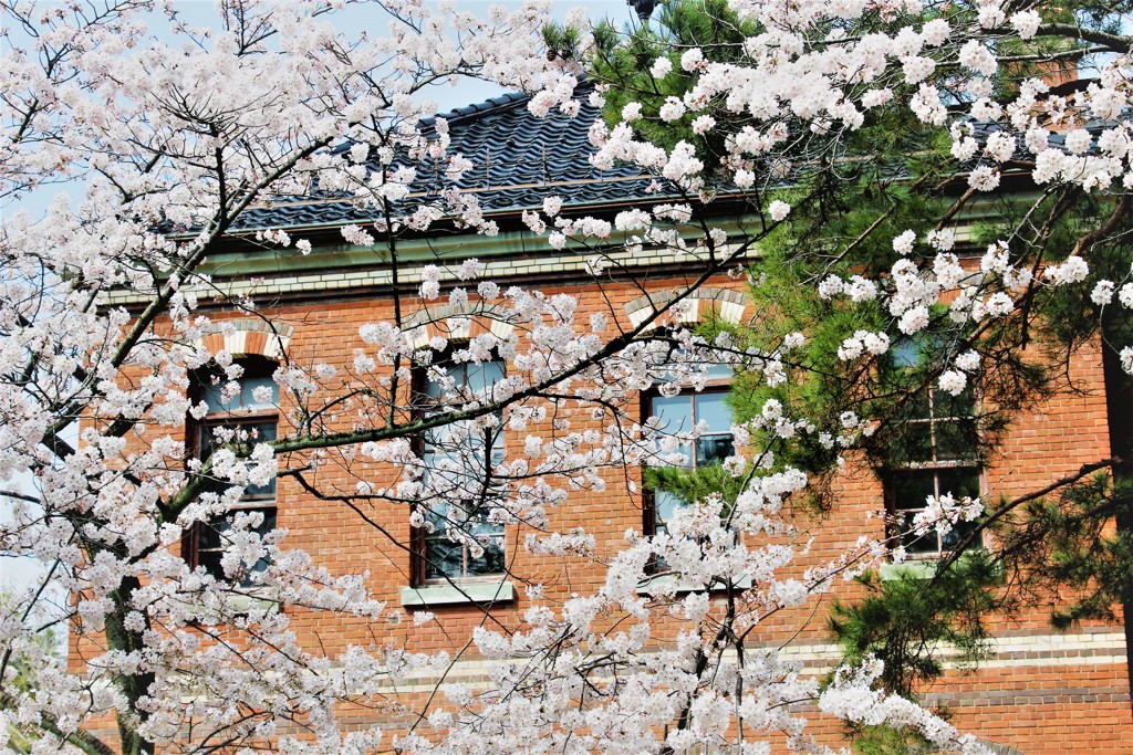 石川四高記念文化交流館に映える