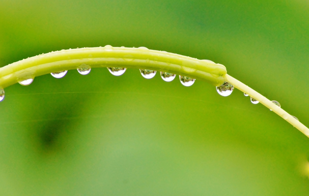 Dorp of fluid””雫””