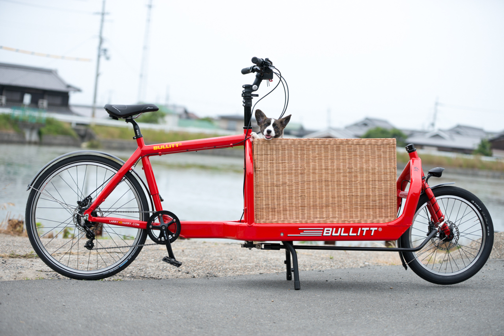 かりん２ヶ月と Bullitt cargo bike