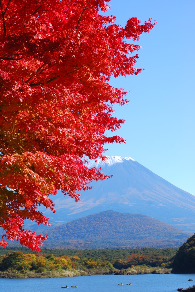 河口湖　紅葉