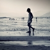 Ebb tide seashore