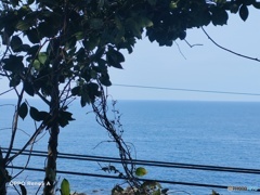 IMG20220324150943