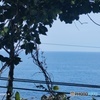 IMG20220324150943