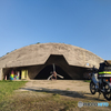掩体壕 bunker クロスカブ110 IMG20250411173145_
