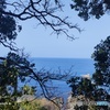 IMG20220324151010