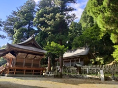 IMG20250725171516