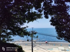 夏 海 郵便配達カブ
