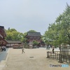 IMG20220519115413
