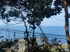 IMG20220324150949
