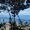 IMG20220324150949