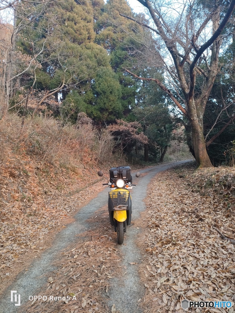 原付 トゥデイ ホンダ IMG20230105165331