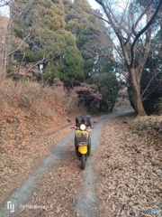 原付 トゥデイ ホンダ IMG20230105165331