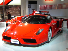 Enzo Ferrari DSC02413