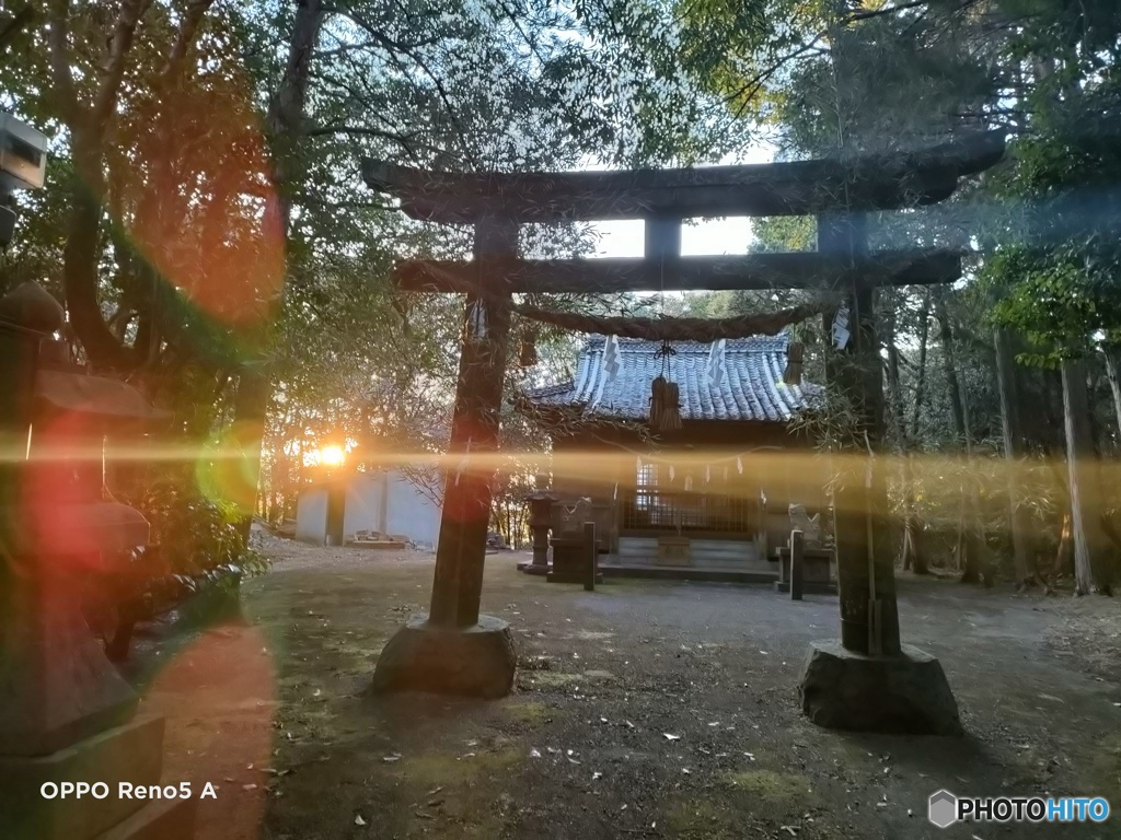 神社 鳥居 逆光 レンズフレア  0115170027 OPPO Reno5 A