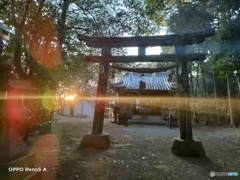 神社 鳥居 逆光 レンズフレア  0115170027 OPPO Reno5 A