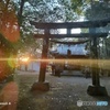 神社 鳥居 逆光 レンズフレア  0115170027 OPPO Reno5 A