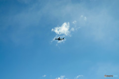 DSC_0005-4_