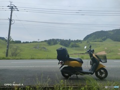 原付 トゥデイ ホンダ IMG20220519150432