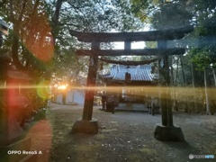 神社 鳥居 逆光 レンズフレア IMG20220115170029