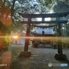 神社 鳥居 逆光 レンズフレア IMG20220115170029