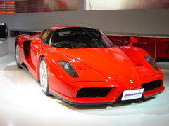 Enzo Ferrari DSC02425